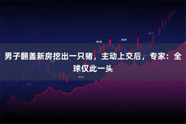 男子翻盖新房挖出一只猪，主动上交后，专家：全球仅此一头