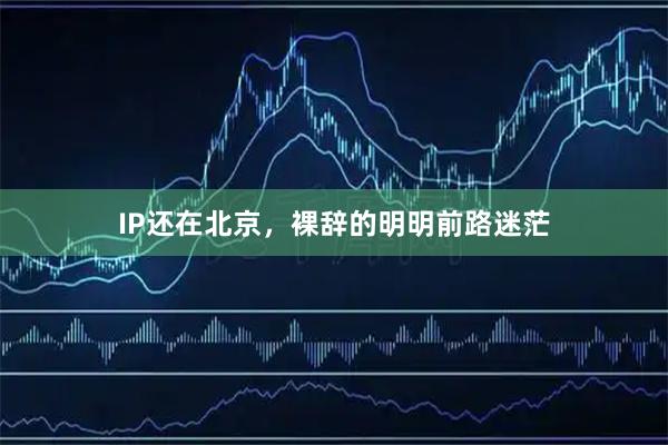 IP还在北京，裸辞的明明前路迷茫